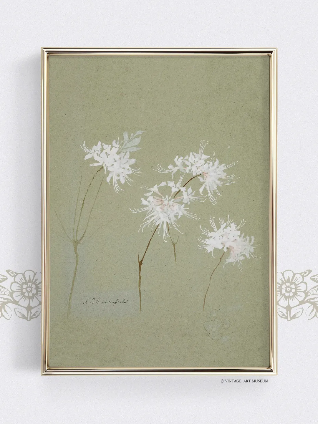 Rifle Paper Co. Botanical Print Muted Flora Study Muted 18" × 24"