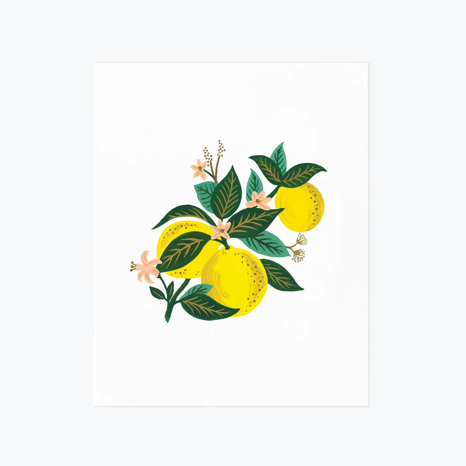 Rifle Paper Co. Still Life Print Citrus Watercolor Warm 16" × 20"